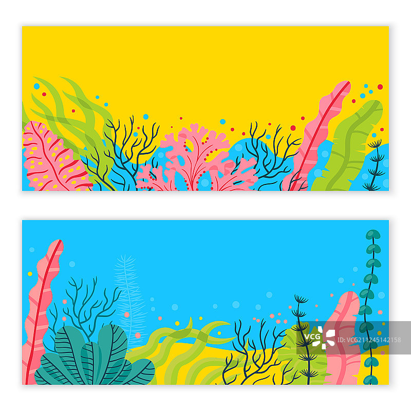 时尚海底背景与海藻图片素材