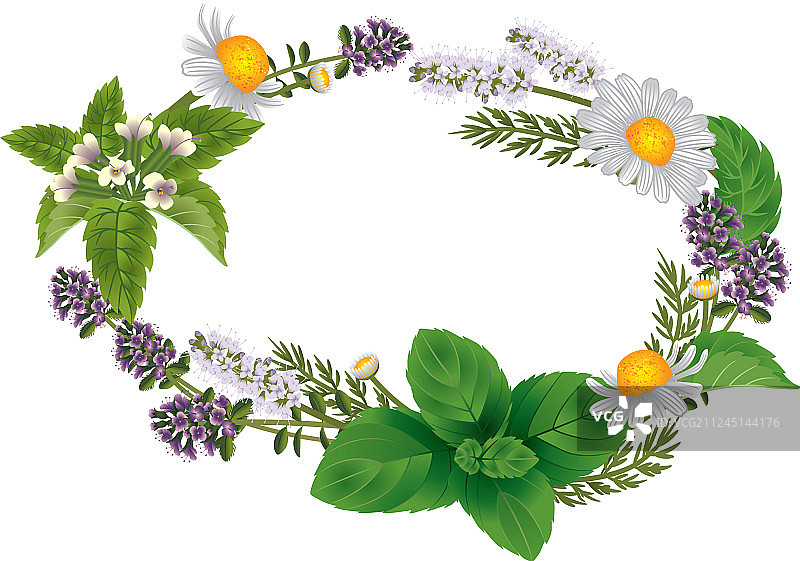 用于标签的草药和鲜花椭圆形装饰品图片素材