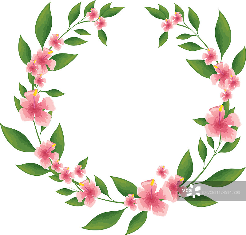 热带花卉设计图片素材