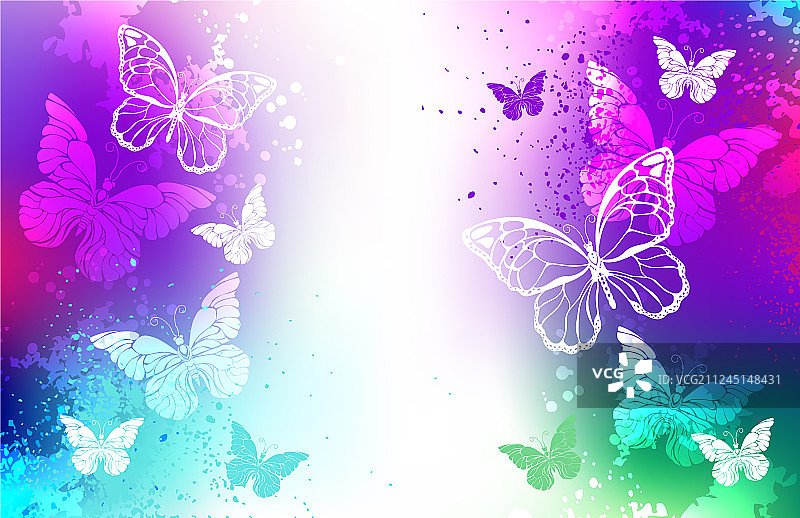 白色蝴蝶明亮背景图片素材