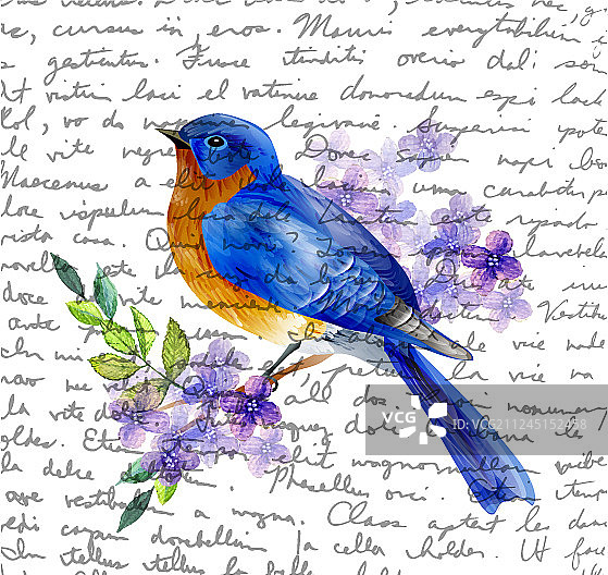 春天的鸟儿图片素材