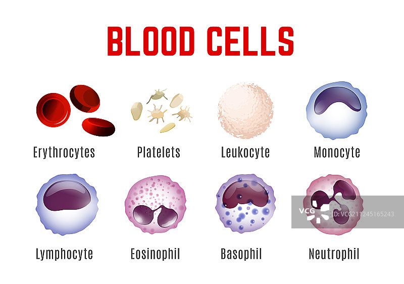 血细胞海报图片素材