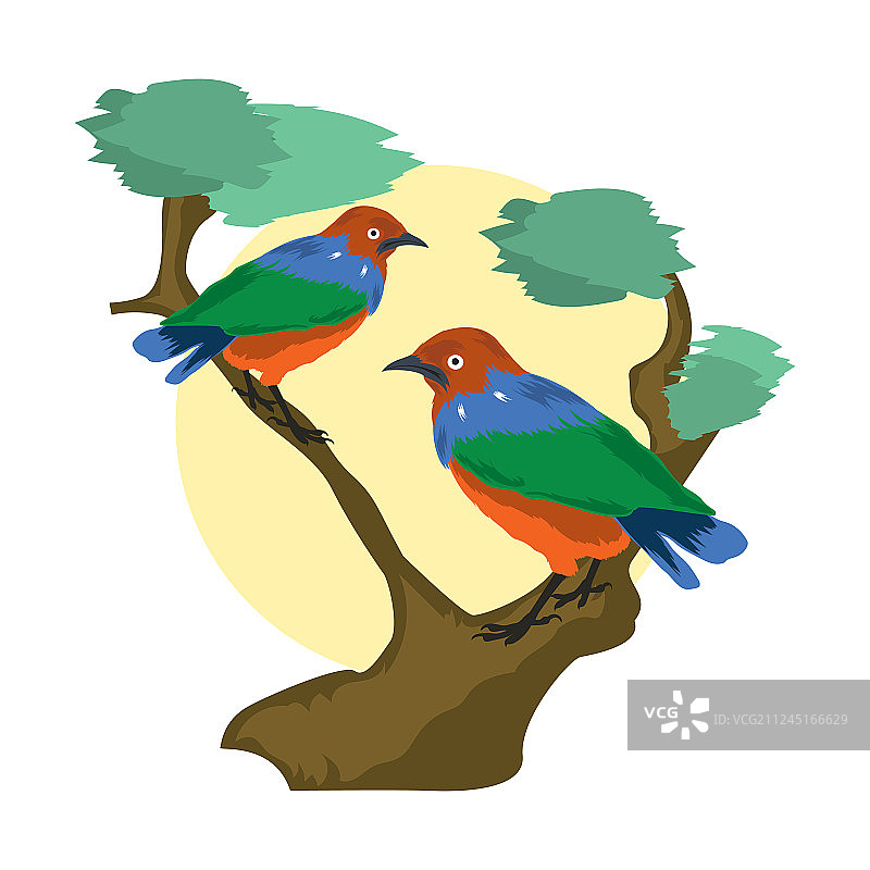 一对栖息的椋鸟动物剪贴画图片素材