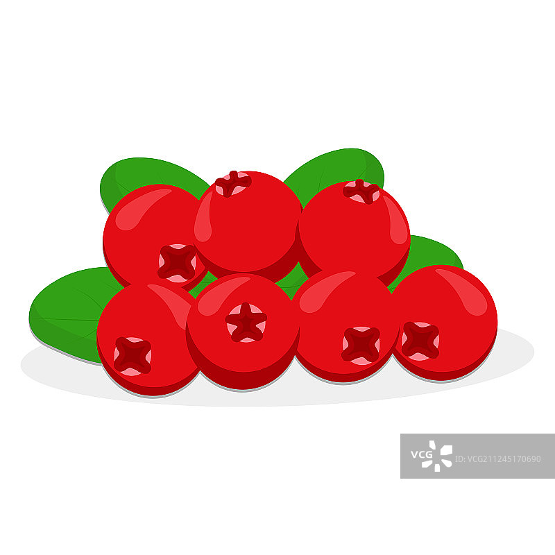 蔓越莓主题图片素材