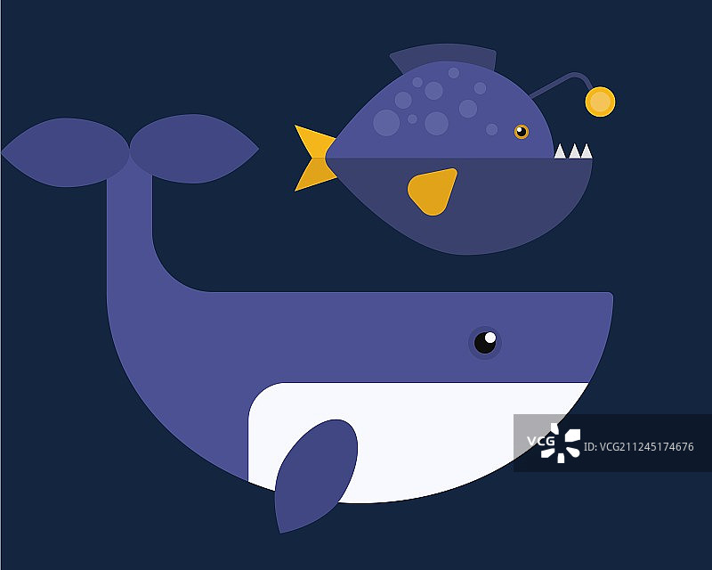 海洋哺乳动物鲸鱼图片素材