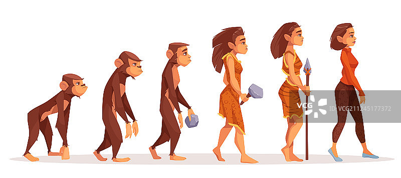 从猴子到现代女人的进化图片素材