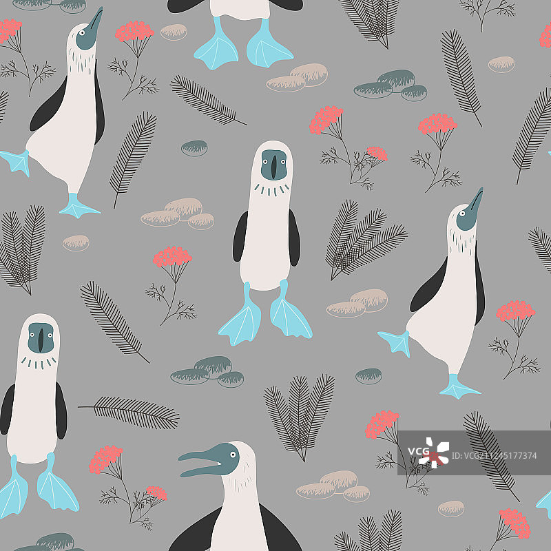 带蓝脚鲣鸟的印刷图案图片素材