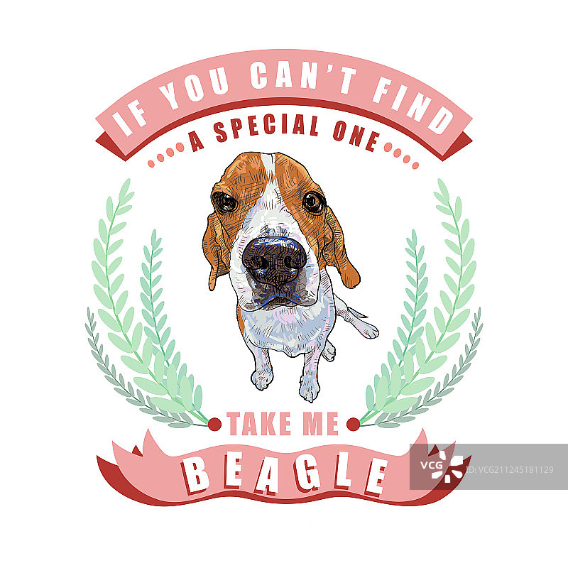 坐在树叶和丝带框架中的小猎犬图片素材