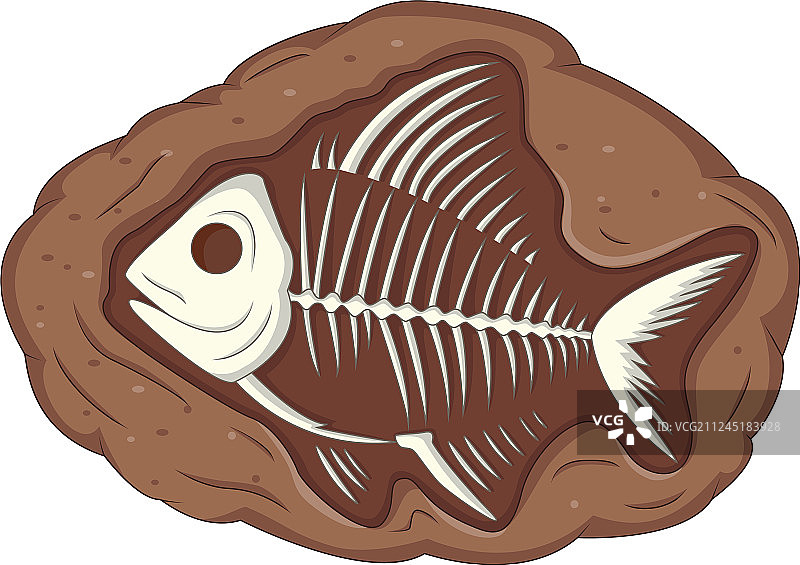 地下鱼类化石图片素材