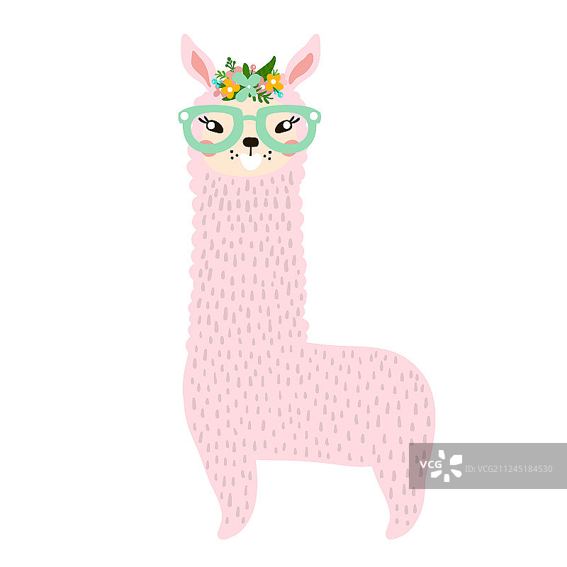 戴眼镜的可爱美洲驼图片素材