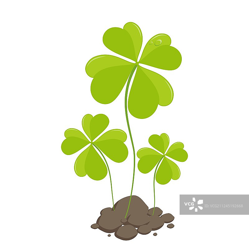 四叶三叶草圣帕特里克节图片素材