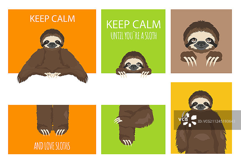 带有文字区域的树懒问候语图片素材