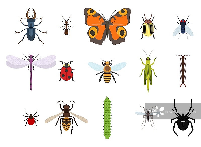 昆虫和小虫害虫图标集图片素材