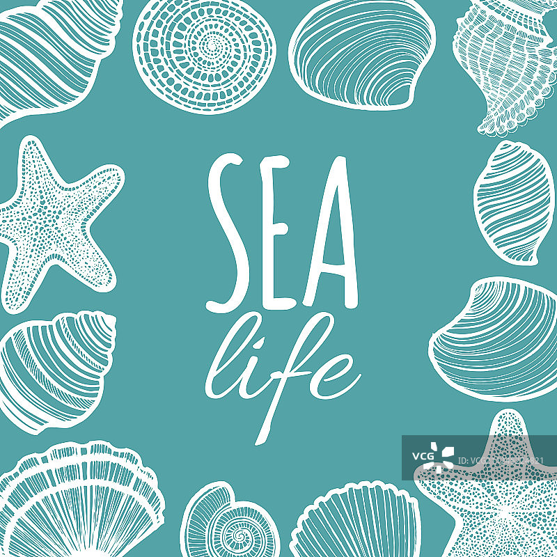 手绘风格的贝壳、海星和海胆组合图片素材