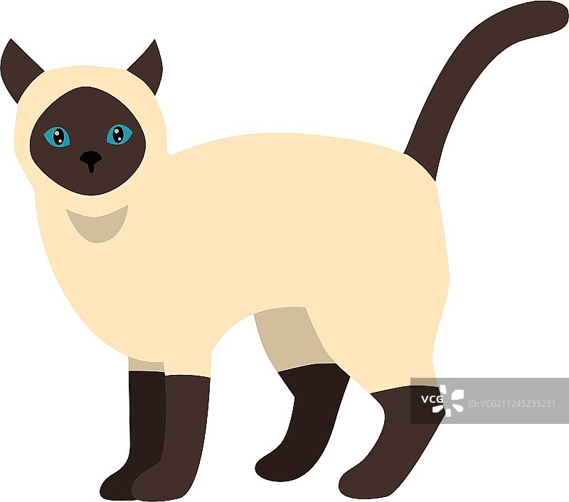卡通暹罗猫角色图片素材