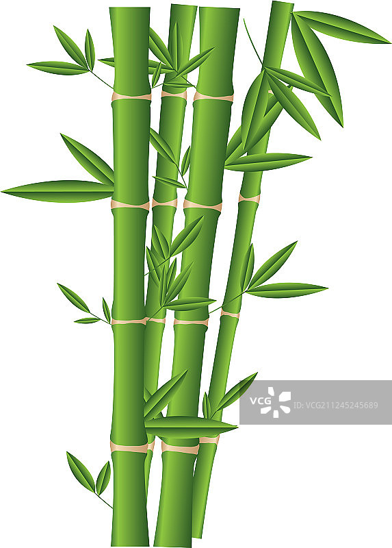 竹子植物 isolated 图标图片素材