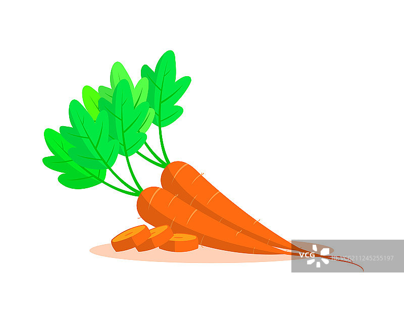 白色背景下的胡萝卜图片素材