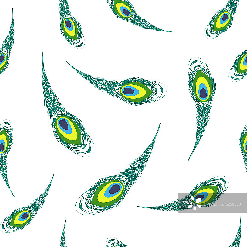 一组彩色孔雀羽毛图片素材