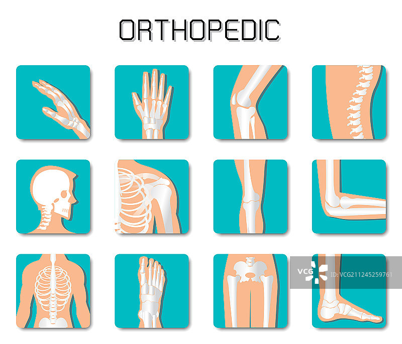 白色背景上的骨科和脊柱图标集图片素材