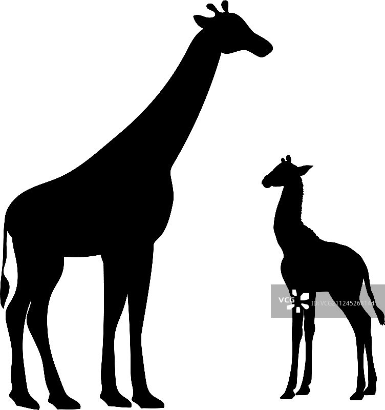 长颈鹿和长颈鹿幼崽剪影图片素材