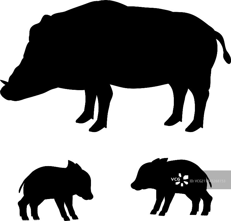野猪黑色动物轮廓图片素材