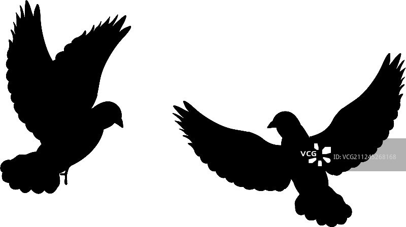 黑色鸽子剪影图片素材