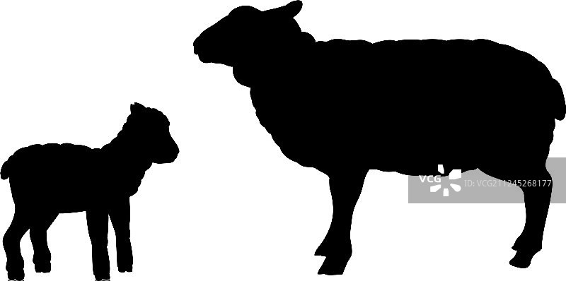 绵羊羊羔农场动物黑色剪影图片素材