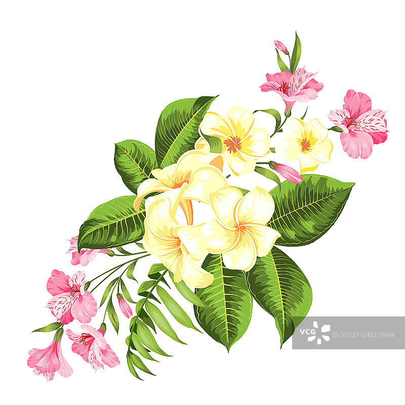 热带鲜花花环的精美卡片图片素材