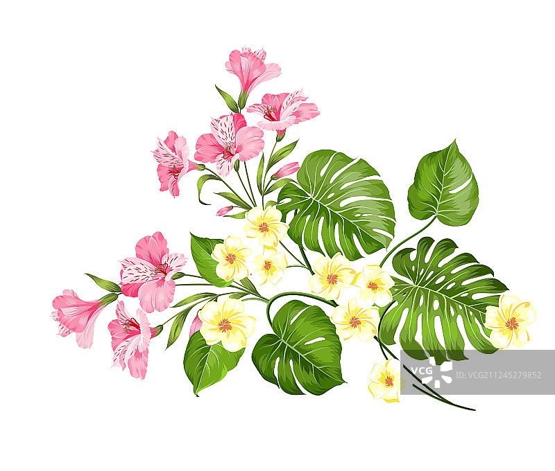 鲜花盛开的夏日图片素材