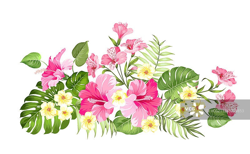 用于卡片设计的热带花卉花环图片素材