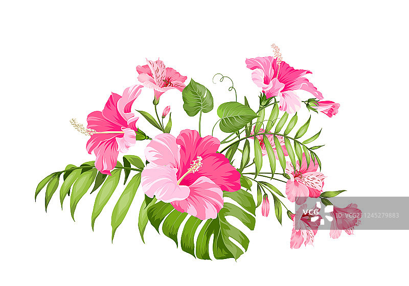 用于卡片设计的热带花卉花环图片素材