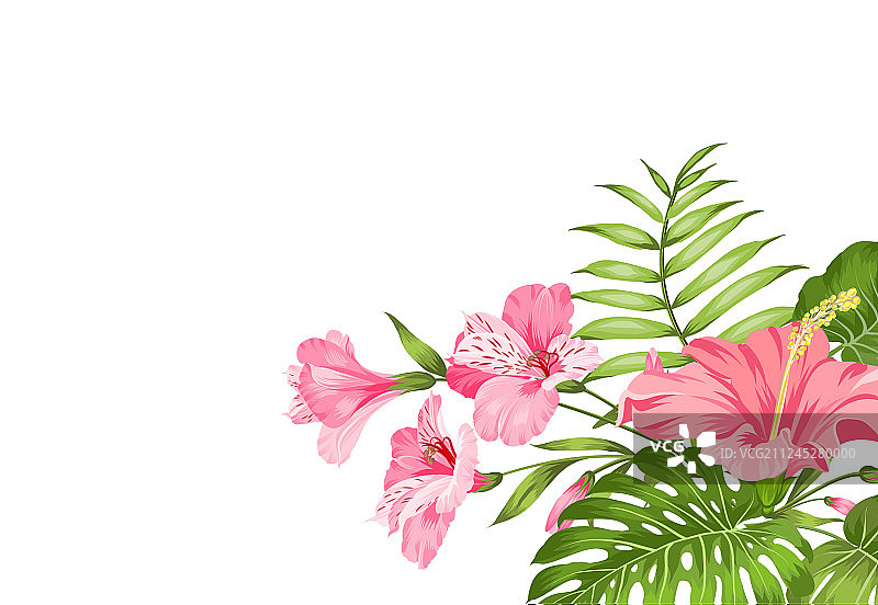 白色背景上孤立的热带花环图片素材