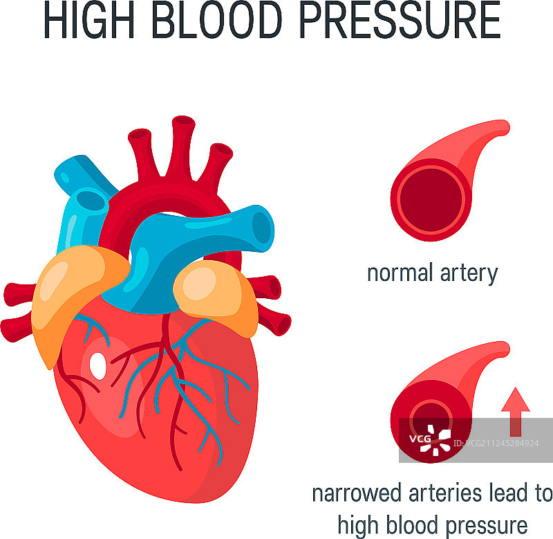 扁平风格的血压概念图片素材