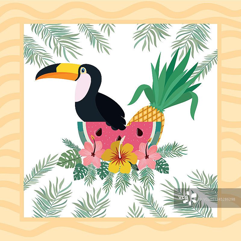 巨嘴鸟和夏季花卉图案图片素材