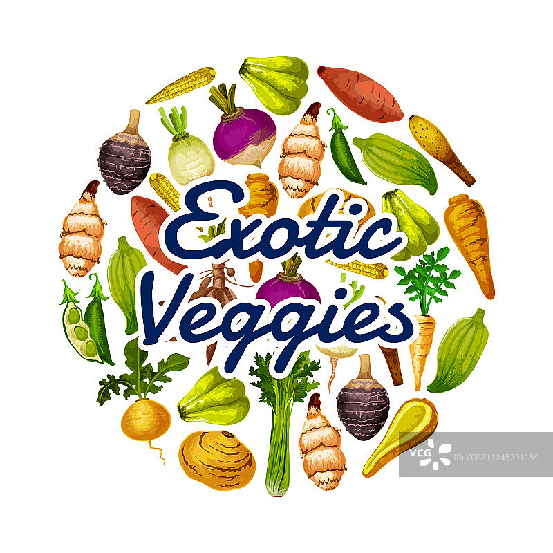 健康食品：异国风味减肥蔬菜圆形图标图片素材