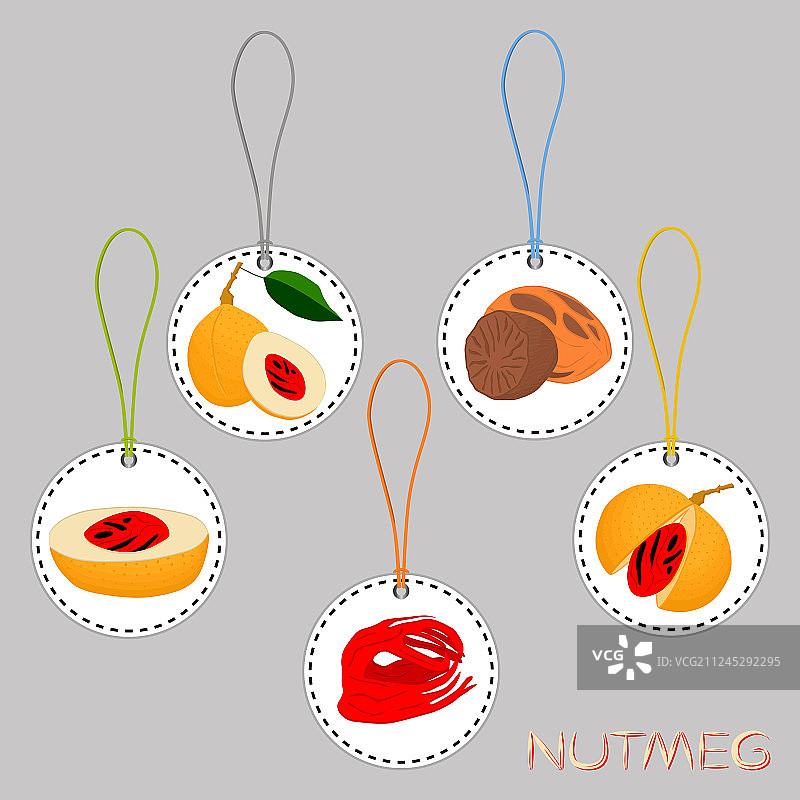 肉豆蔻香料主题大合集图片素材