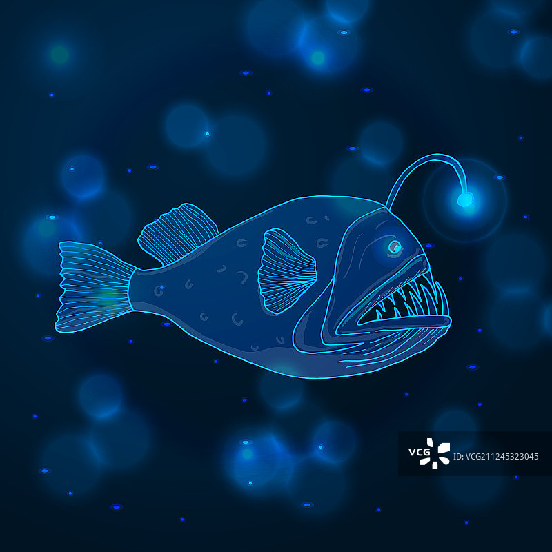 手绘安康鱼海洋动物速写图片素材