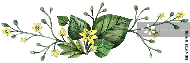 野生植物水彩画图片素材