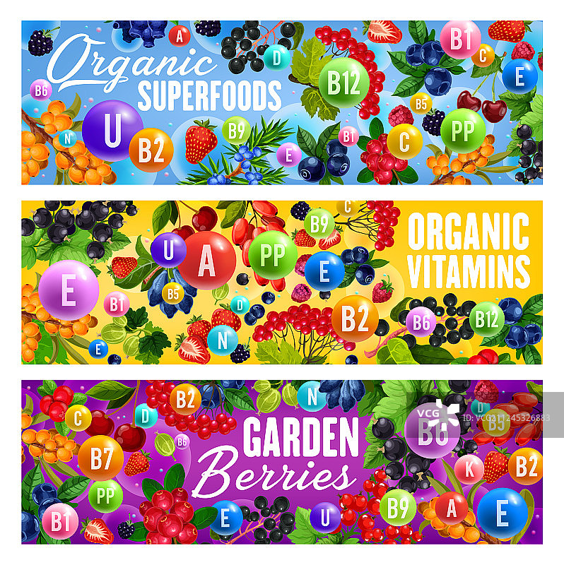 维生素超级食品和天然有机浆果图片素材