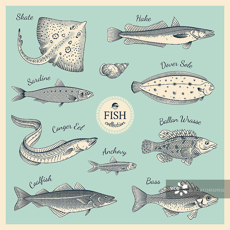 复古鱼类组合图片素材