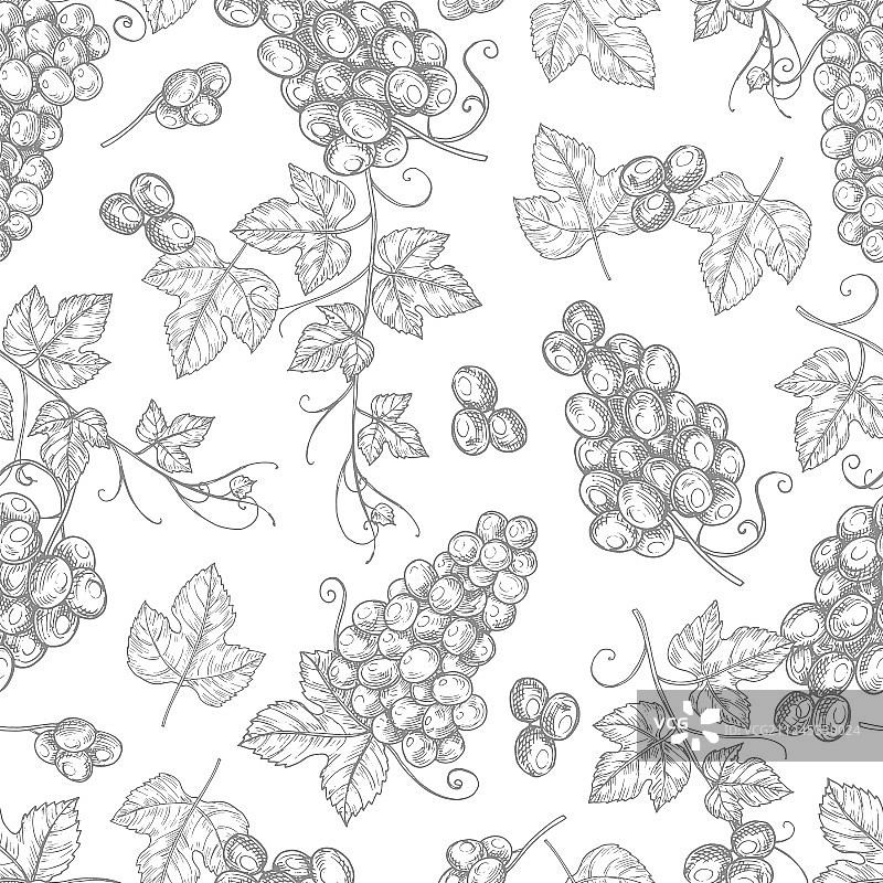葡萄无缝图案纹理速写图片素材