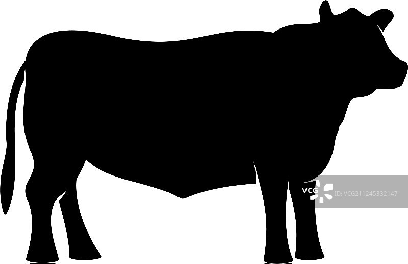 黑色安格斯公牛站立剪影图片素材