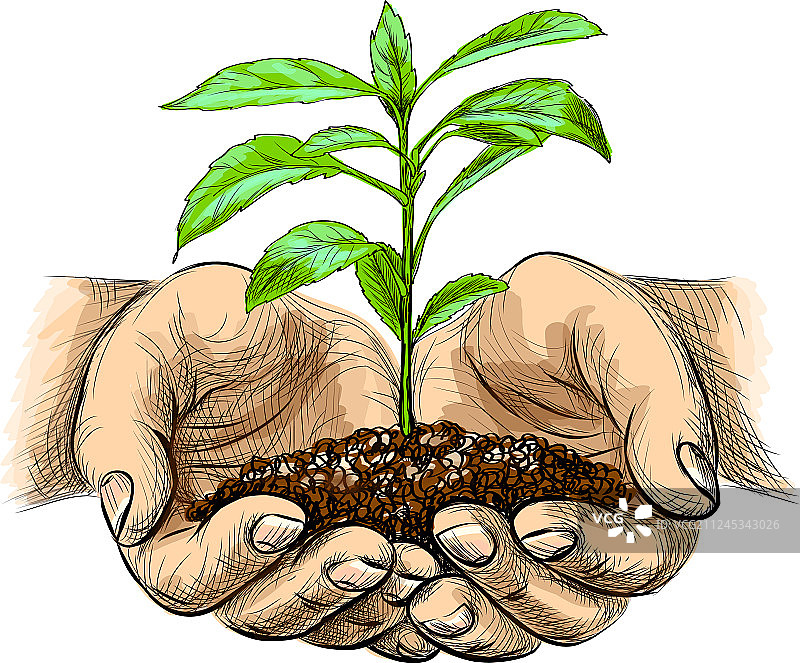 手捧带土幼苗图片素材