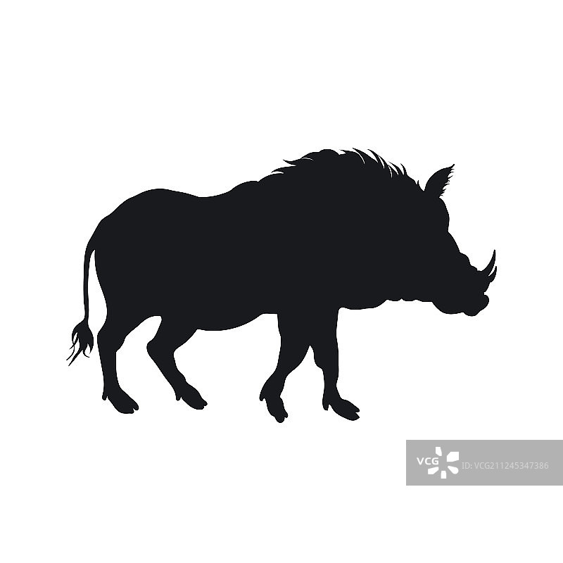 黑色剪影：非洲野猪图片素材