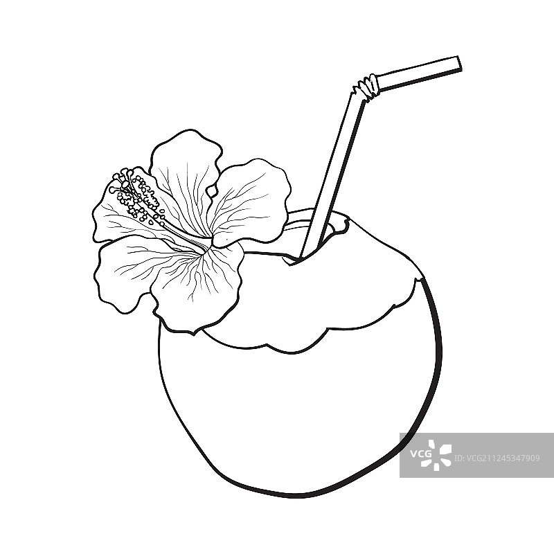 用芙蓉花装饰的椰子鸡尾酒饮品图片素材