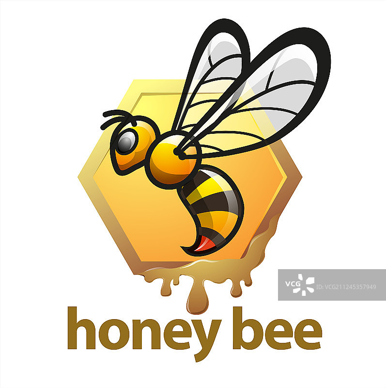 蜜蜂图片素材