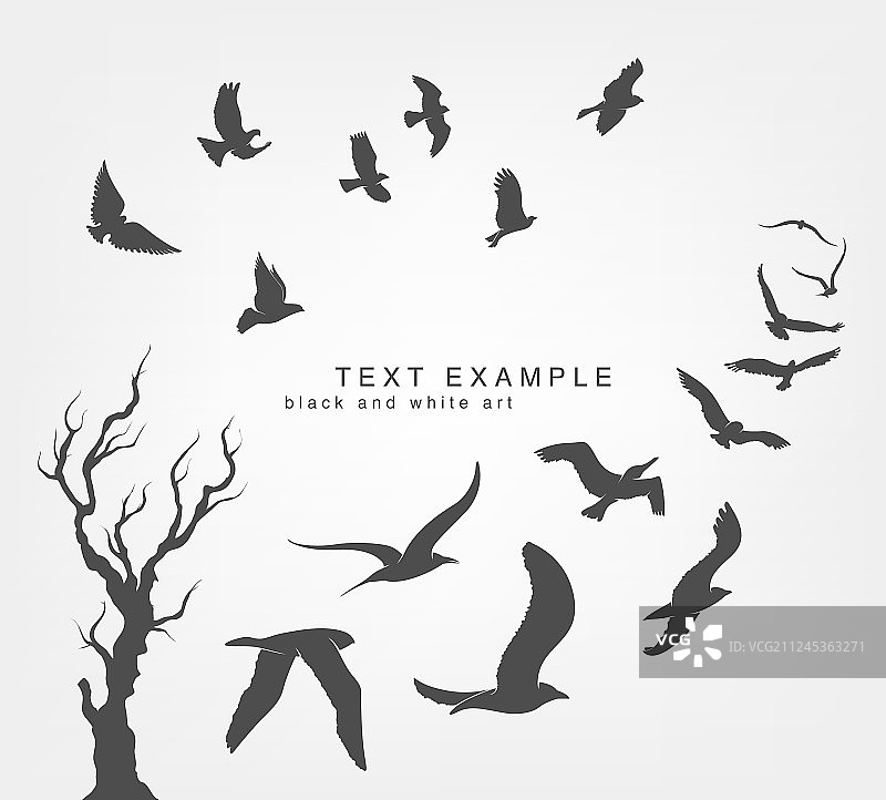 鸟群在天空中飞行图片素材