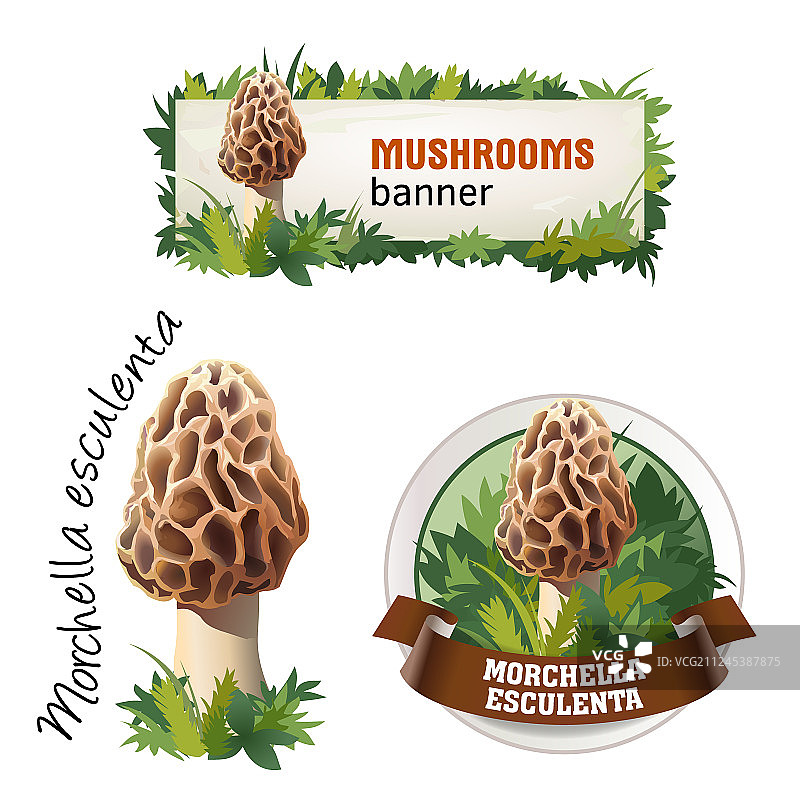 蘑菇banner徽章贴纸合集图片素材