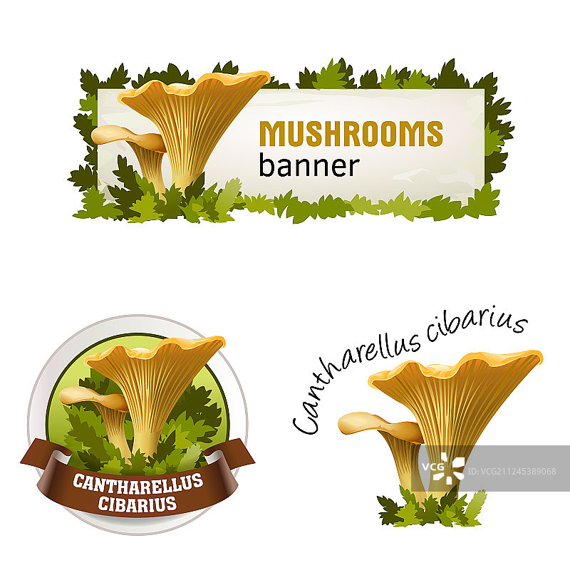 蘑菇banner徽章贴纸合集图片素材