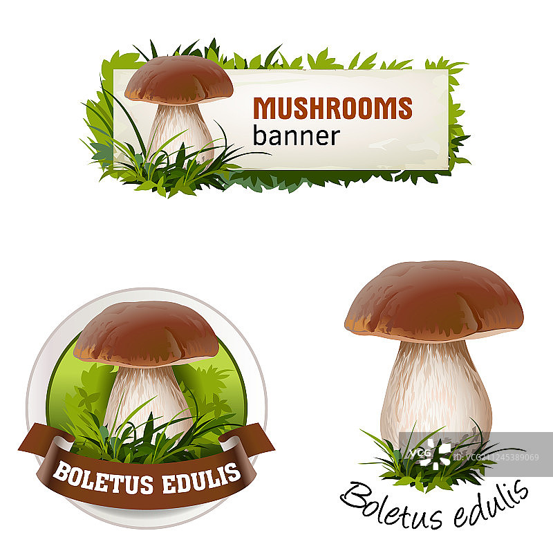 蘑菇banner徽章贴纸合集图片素材